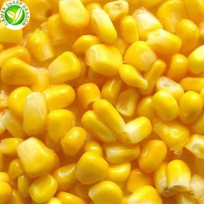 China bulk organic delicious fresh iqf factory price frozen corn for sale