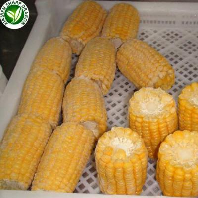 China Organic chinese frozen type iqf maize for sale for sale