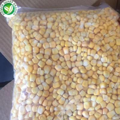 China Sale Organic Wholesale Bulk Export IQF Yellow Frozen Corn Kernel For Price Per Ton for sale