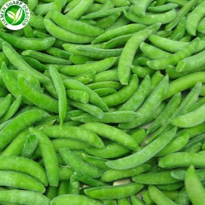 China Organic green vegetable iqf sugar frozen instant peas with best price for sale