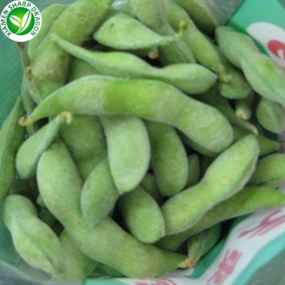 China IQF Organic Edamame Wholesale Frozen Hot Selling for sale