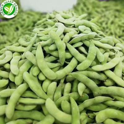 China IQF Organic Wholesale High Quality Frozen Green Bean Edamame Soy Bean for sale