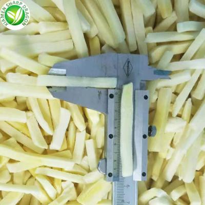 China Export Healthy Wholesale Slice IQF Frozen Bamboo Shoots for sale