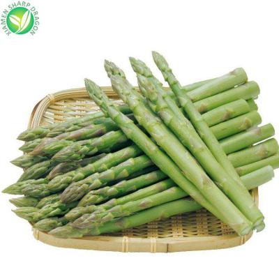 China Vegetable Price IQF China Healthy Green Frozen Asparagus for sale