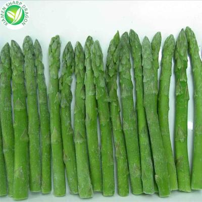 China IQF Organic Wholesale Bulk Vegetables Brands Green Fresh Frozen Asparagus Price for sale