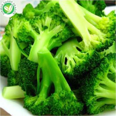 China Good quality organic iqf frozen wholesale broccoli in cheap price for sale