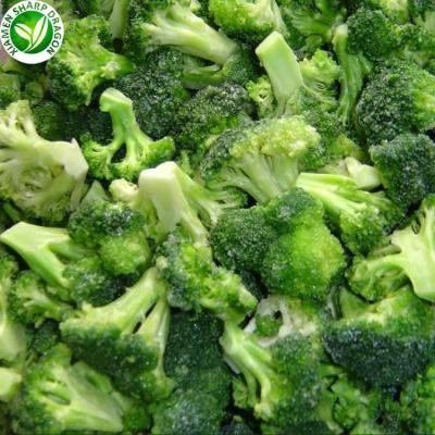 China Bulk Organic Chinese Organic Brands Import IQF Frozen Broccoli with Wholesale Price for sale