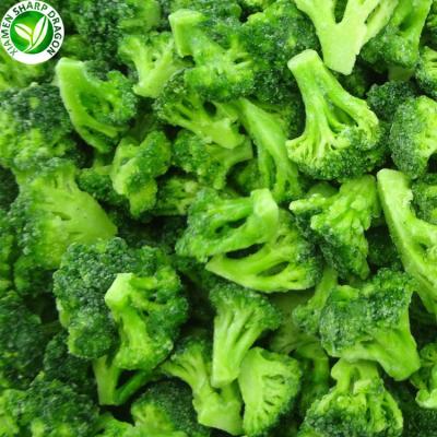 China Frozen broccoli the best organic fresh vegetables market for sale