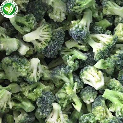 China Long Shelf Life Iqf Organic Frozen Delicious Frozen Frozen Broccoli for sale