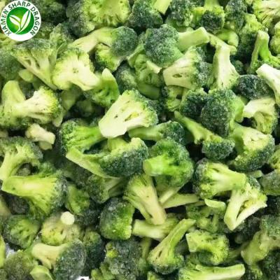 China Frozen broccoli from IQF organic supplier's new Chinese top natural ompetitive culture prices for sale