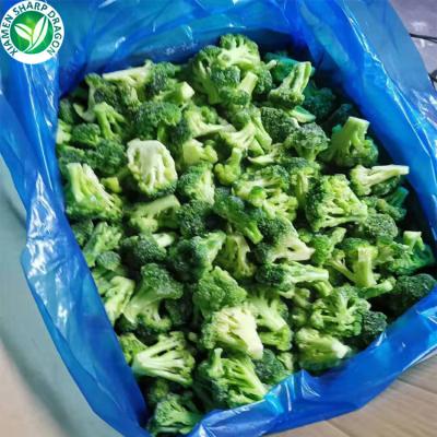 China IQF Organic Bulk Wholesale Frozen Fresh Cut Broccoli Florets for sale