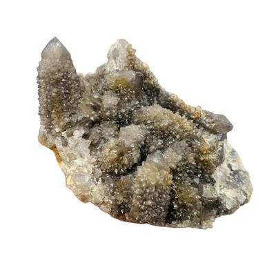 China China Hot Sale Natural Healing Black Raw Group Crystal Stone South Africa Cactus For Decoration for sale