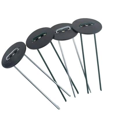 China Durable Flat High Quality Stainless Steel U-Nails Garden Repair Nails for sale