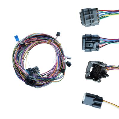 China Automotive All Kinds Of Automotive Cable Assembly Wire Harness Manufacturing Customized for sale