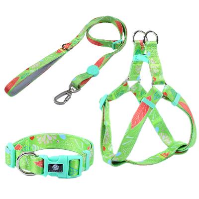 China Element High Intensity Native Pet Supplies Dog Leash / Pet Collars / Harness For Pet Travel for sale