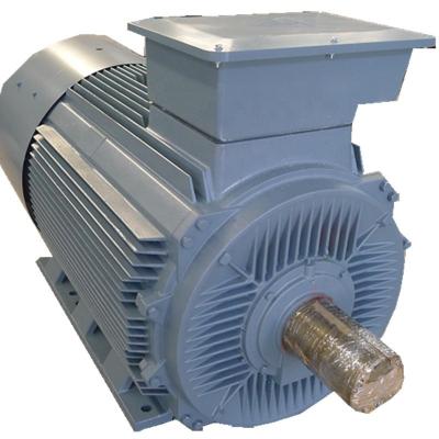 China Custom Permanent Magnet Alternator Marine Energy Low Rpm Generator YGDLF-1000 for sale