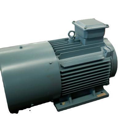 China Wholesale Products Power Permanent Magnet Motors For Sale Synchronous Generators YGDLF-20 for sale