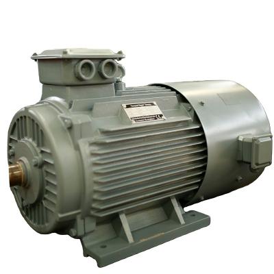 China High demand products low speed power 20kw lightweight permanent magnet generator for sale YGDLF-20 for sale