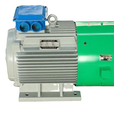 China 300rpm 35kW Drip Proof Low Speed ​​High Torque Motor for sale