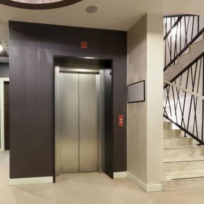 China Villa / LMR Home Safe And Stable Competitive Price 4 Person Passenger Elevator for sale