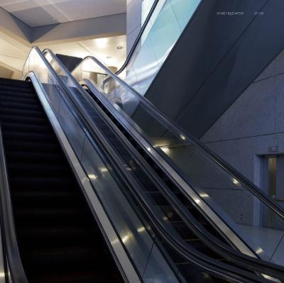 China Safe And Stable Running Low Cost Commercial / Public Escalator CE EAC Certificate for sale