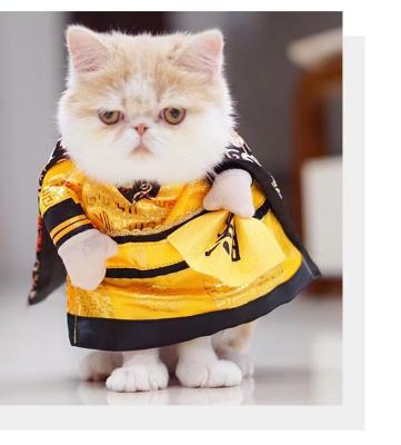 China Sustainable Custom Printed Dog Costume Wholesale Deluxe Halloween Pet Clothes For Cat for sale