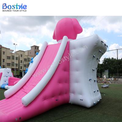 China Plato PVC Tarpaulin Bostyle Inflatable Floating Water Park Jumper Blob Launcher Ice Tower for sale