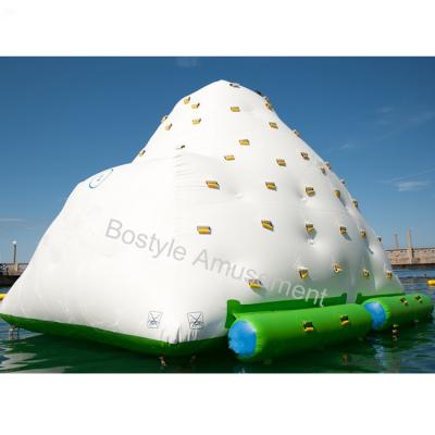 China Fun Hot Sale Inflatable Pool Slide With Climbing Wall for sale