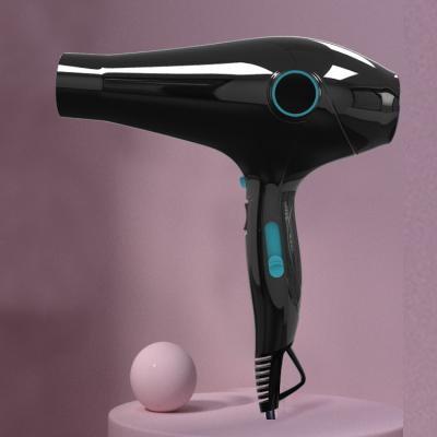 China Lightweight+Compact Ionic Hair Dryer Flat Wire AC Motor Hair Dryer, Travel, Blow Hair Dryer Black Salon for sale