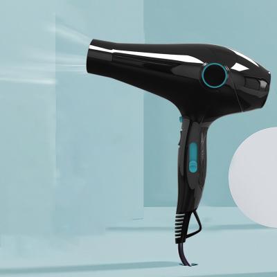 China DC Motor Flat Wire BSCI Manufacturer Smooth Brilliance Ionic DC Motor Hair Dryer for sale