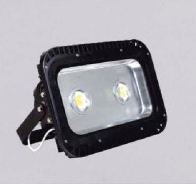 China 100W outdoor led lights IP65 supplier for sale