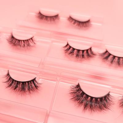 China New Arrival Vegan Natural Biodegradable Strip Eyelashes Tray Synthetic Fake Mink Lashes for sale