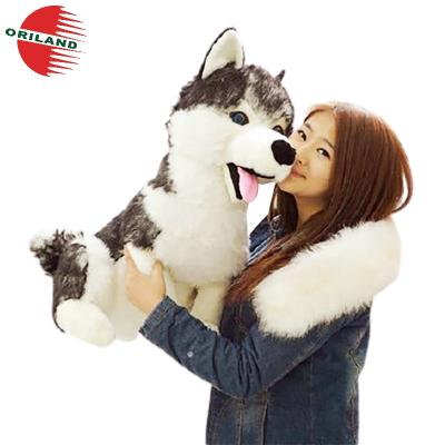 China Wholesale 55cm Simulation Plush Toy Stuffed Animal Doll Husky Toy for sale