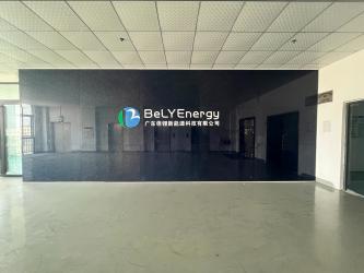 China Shenzhen Bely Energy Technology Co., Ltd.