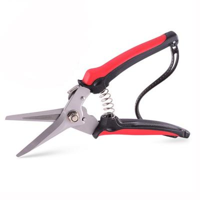 China Cutting Tree Branch Lockable Garden Scissors with Soft TPR Handle Cutters for Cutting Branch Stainless Steel Shears Garden Scissors for sale