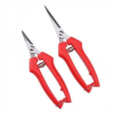 China Anti-Slip Handle Amazon Hot Sale Stainless Steel Garden Scissors For Cutting Fruiter Branch Flower Cutter Garden Scissors Shears for sale