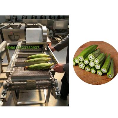 China root vegetable vegetable cutting machine/automatic vegetable cutter for sale