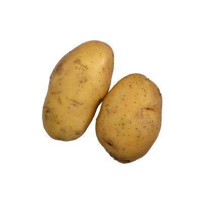 China Fresh hot sale natural and delicious fresh potatoes in 2021 season for sale