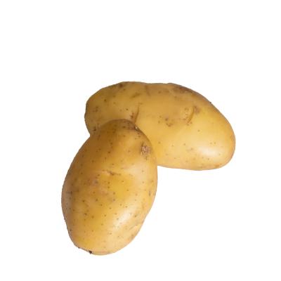 China Highest quality fresh newly grown fresh yellow-peeled potatoes for sale