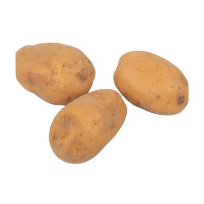 China 100% Organic High Quality Fresh Healthy Natural Potatoes for sale