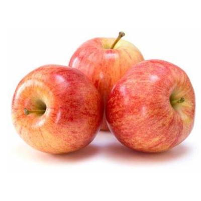 China nutrition china supplier fresh fruit fuji apple export price for sale