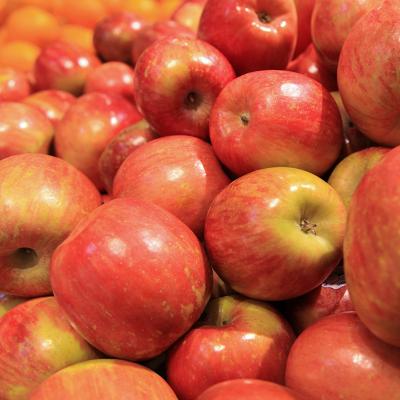 China New Fuji fresh apple red apple nutrition crop for importer buyer for sale