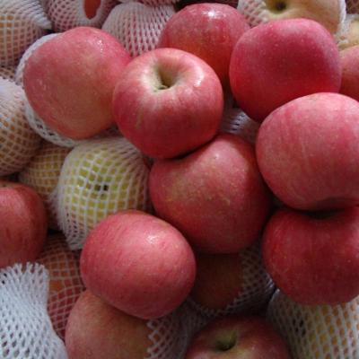 China Wholesale high quality nutrition price good fruit fresh Fuji red apple for sale