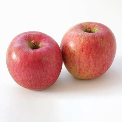 China Nutrition Fresh Apple Fuji Apple Fruit Competitive Price in India Turkey for sale