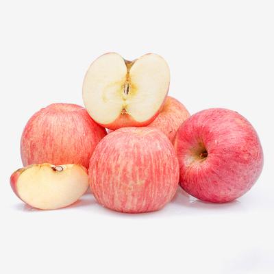 China Good Price Nutrition Fuji Red Apple Cinnamon Apple Fresh Fruit For Wholesale for sale