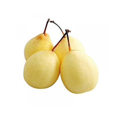 China Wholesale best-selling fresh and newest healthy crop candy fresh pears for sale