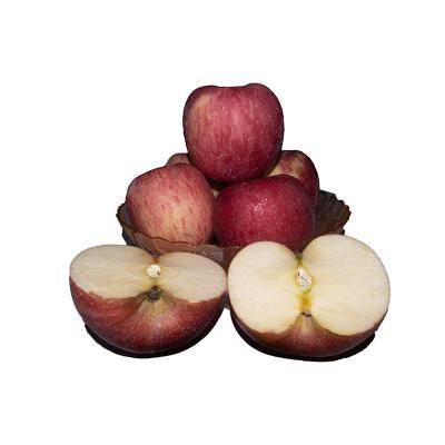 China Reputation Good Fresh Ordinary Cultivated Red Fresh Sweet Crispy Apple for sale