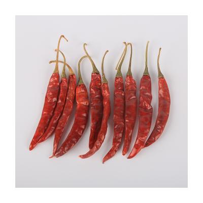 China Fresh high quality fresh dried red peppers can be used as paprika for sale