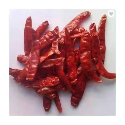 China Fresh it is worth buying the fresh high quality dry sweet red peppers for seasoning for sale