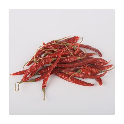 China Fresh High Quality Dry Simple Red Chilli Spice with Best Price for sale